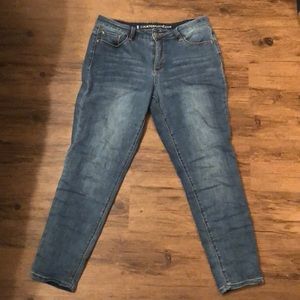 Ankle Cropped Skinny Jeans